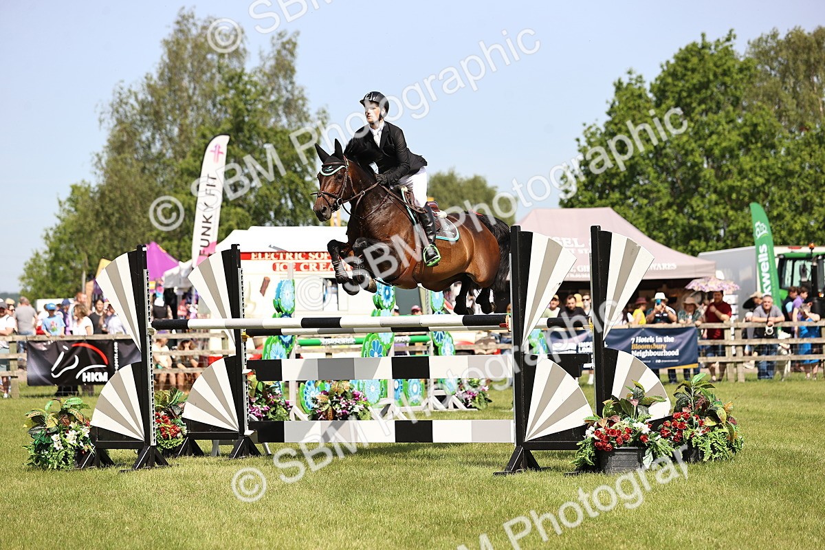 SBM_03147 - Class 201 - British Horse Feedds Speedi Beet HOYS Grade C