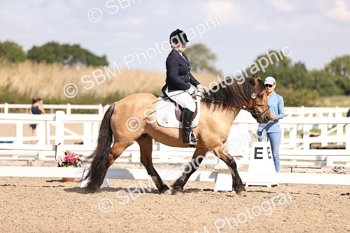 SBM_03601 - CLass 35 Intro 3