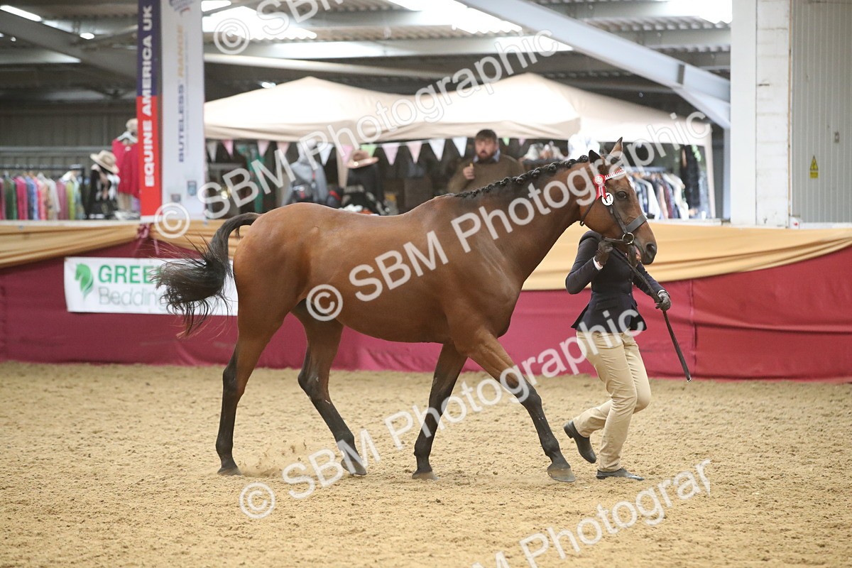 SBM_05667 - Class 9R - Regional IH Pre-Vet