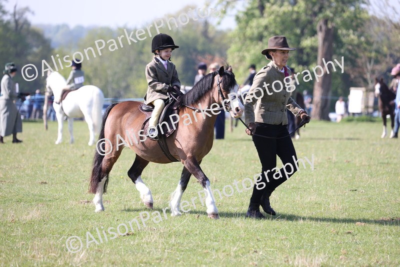 20250427-0133 - Class 30 - Tiny Tots Lead Rein