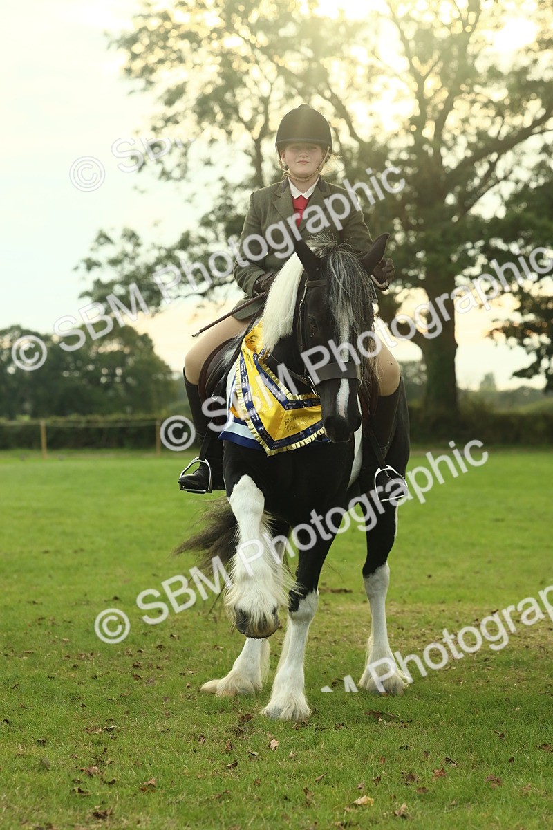 SBM_75327 - Super Supreme Championship