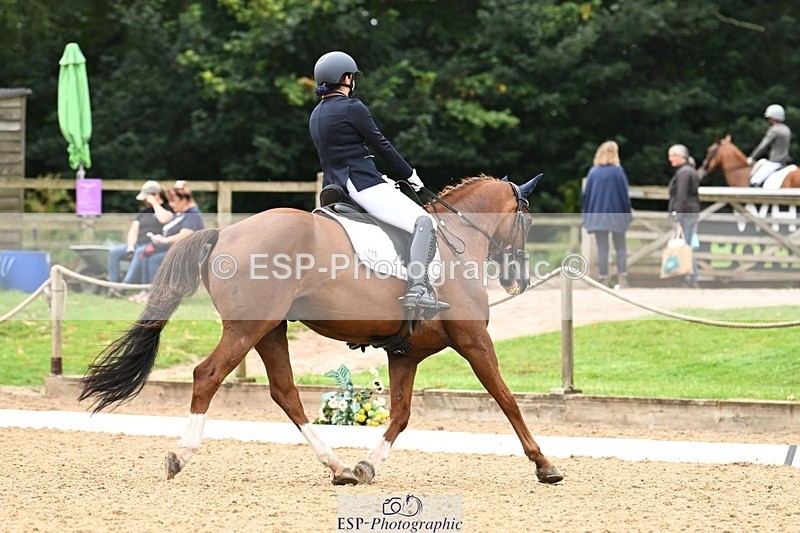 240811-101837-04987 - 110-Helen.Kitto-Da.Vinci.IV