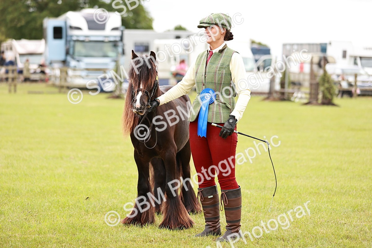 SBM_06005 - Class 39-41 TGCA In Hand and Ridden