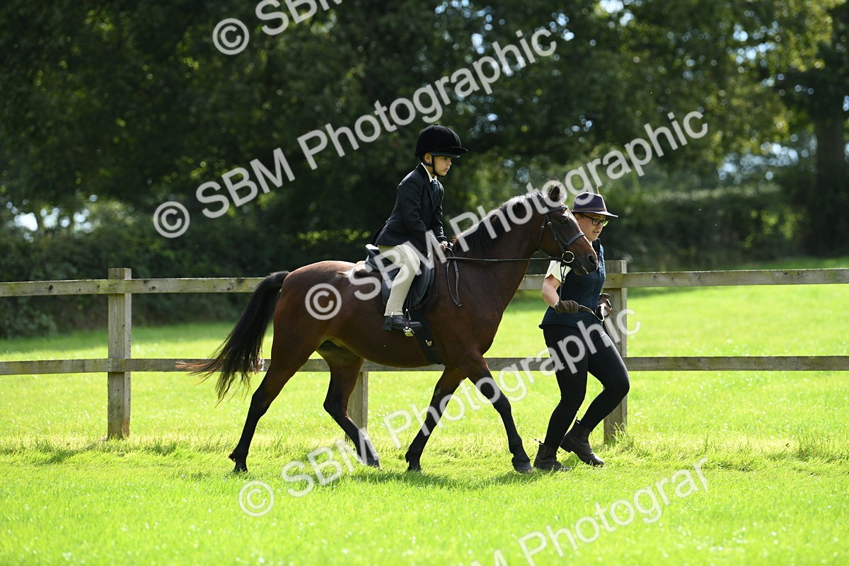 SBM_42532 - S20 - Lead Rein Mountain & Moorland Pony