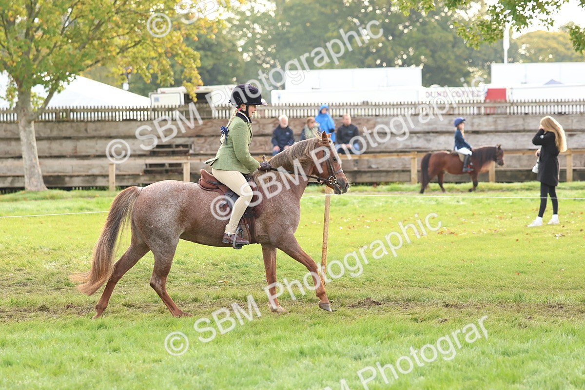 SBM_56581 - S40 - Starters Ridden Showing