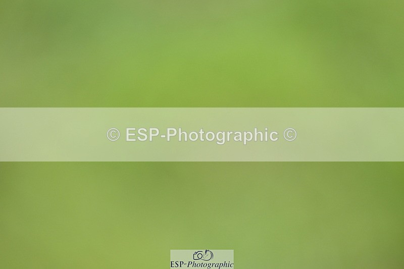 250831A-162429-11051 - Cls 39 Amateur 1.10m Grand Prix