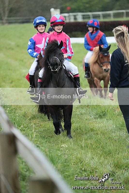 SHETPR 210425 143 - Shetland Ponies Paxford Races 21/04/25