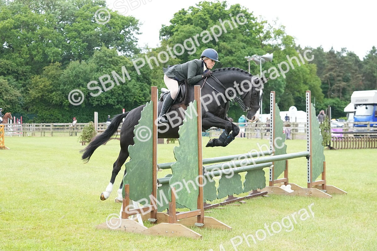 SBM_12577 - Class 97-98 - LIHS BSHA Rising Star Working Show Horse Hunter