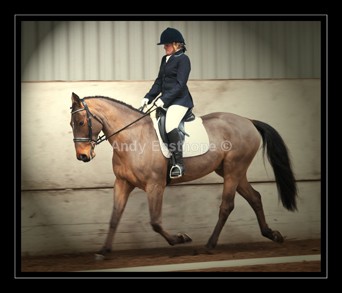 QT-59abw - Equestrian Images