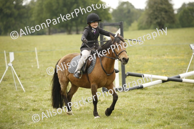 20250517-0828 - Class 2 - 30cm Off Lead Rein