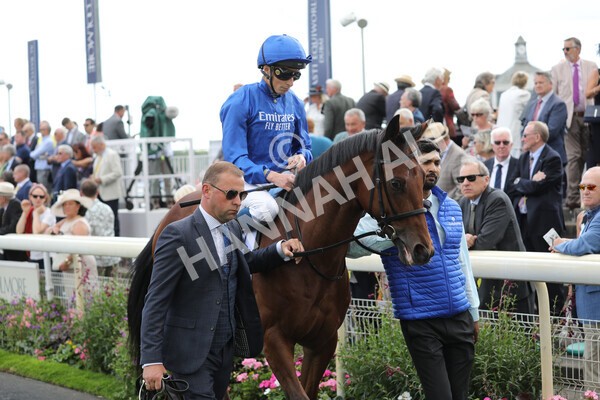 yr19082022r3-14 - Race 3 3.00pm Al Basti Equiworld Dubai Gimcrack Stakes