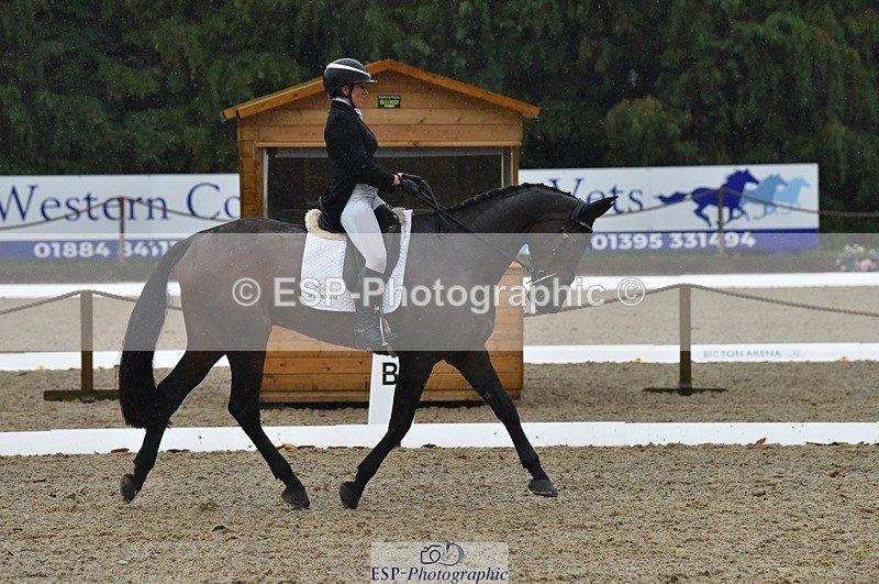 231018-154308-00856 - 012-ROMANY.CRICKET-Nana.Dalton-DR