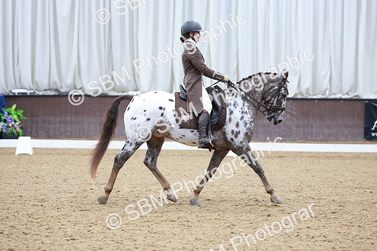 SBM_021347 - Class 14 - FEI Grand Prix - 17.40-18.34