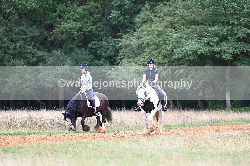 DSC_6576 - Time at Statue 12:45 to 13:15