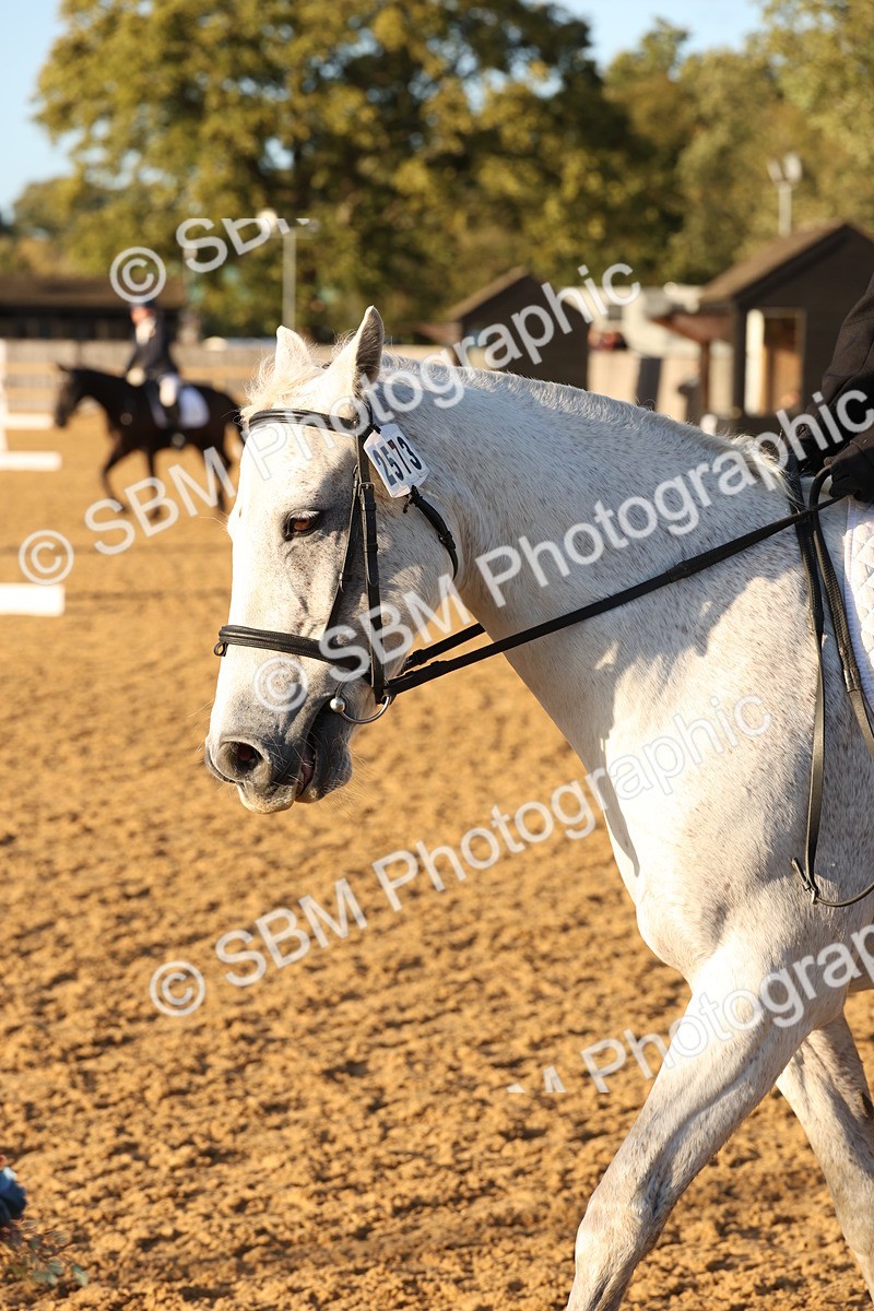 SBM_52939 - D12 - Small Tour Championship prelim 2