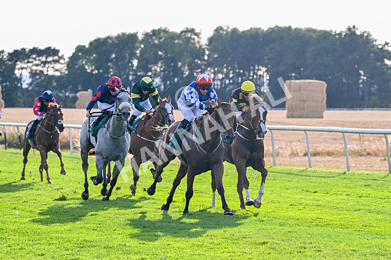 140826-Race 3-Equity Law-1131 - Race 3 18.43pm Heineken 0% Handicap