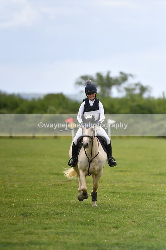 WJ5_3977 - Class 6 80cm