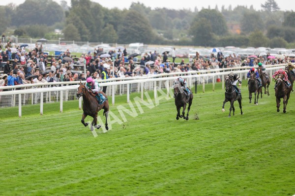 080924-Race 1-Windlord-4329 - Race 1 1.40pm British European Breeders Fund Novice Stakes