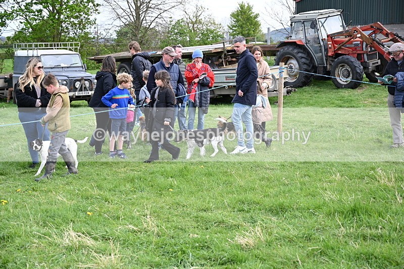 WJ6_8524 - Class 6 Best Rescue