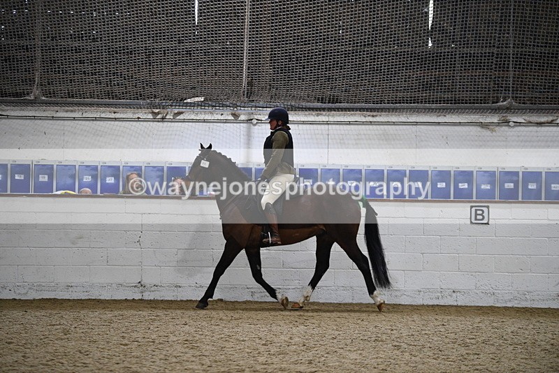 WJ5_7968 - Class 13 Ridden Part Breed