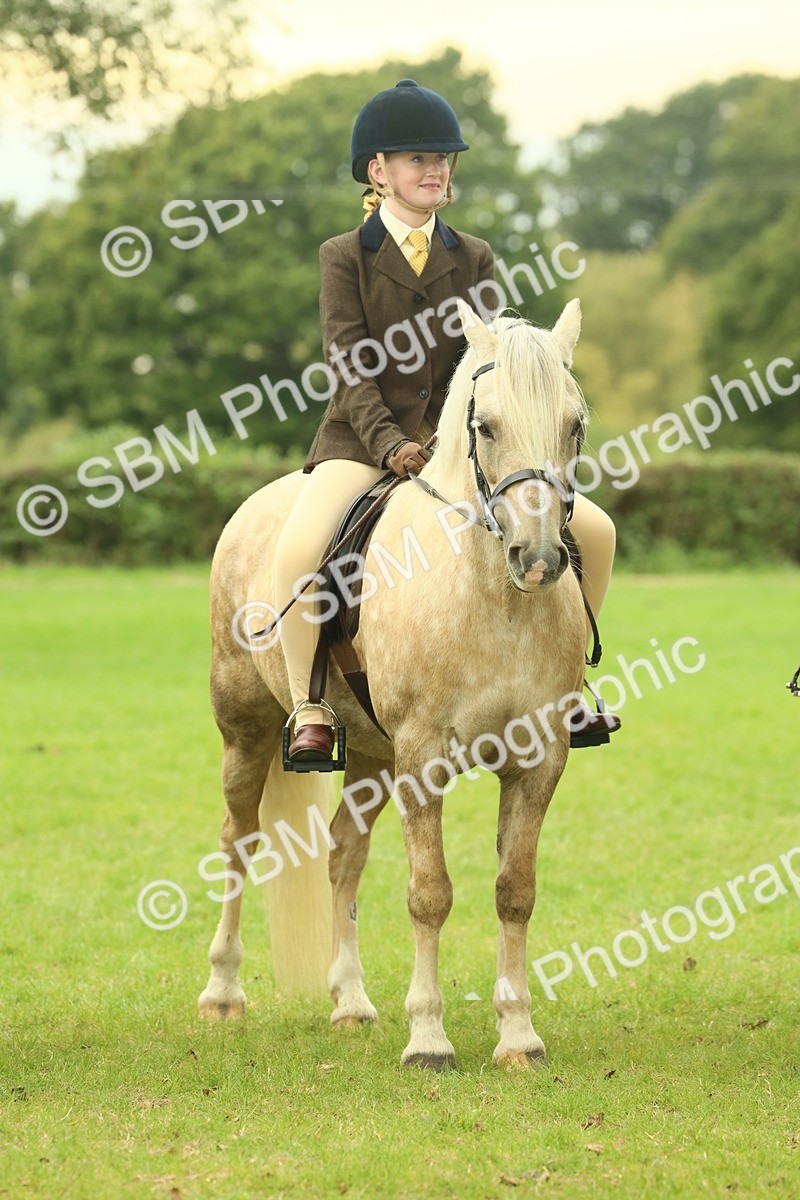 SBM_72206 - S60 - Mountain & Moorland Ridden Large Breeds