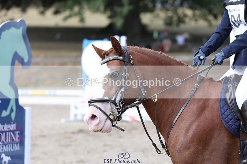 250821A-123244-15764 - NAF Round 1 11.30 to 12.30