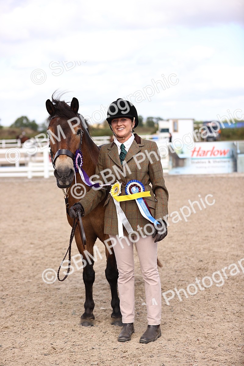 SBM_14412 - Class 412 - Handsomest Gelding (IH or Ridden)Adult