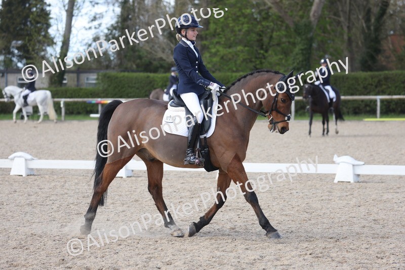 20260405-0903 - Pony FEI