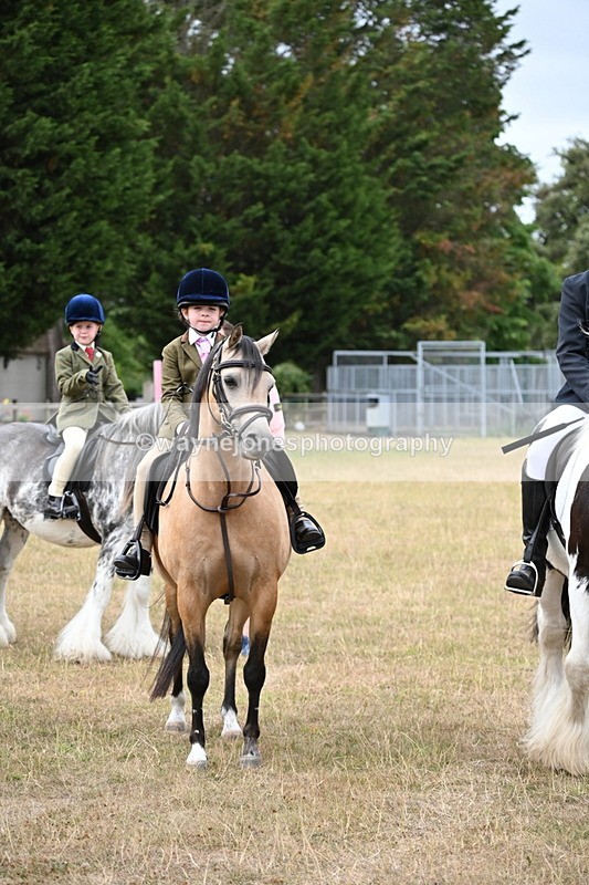 WJ6_7682 - Class 9 Tack and Turnout