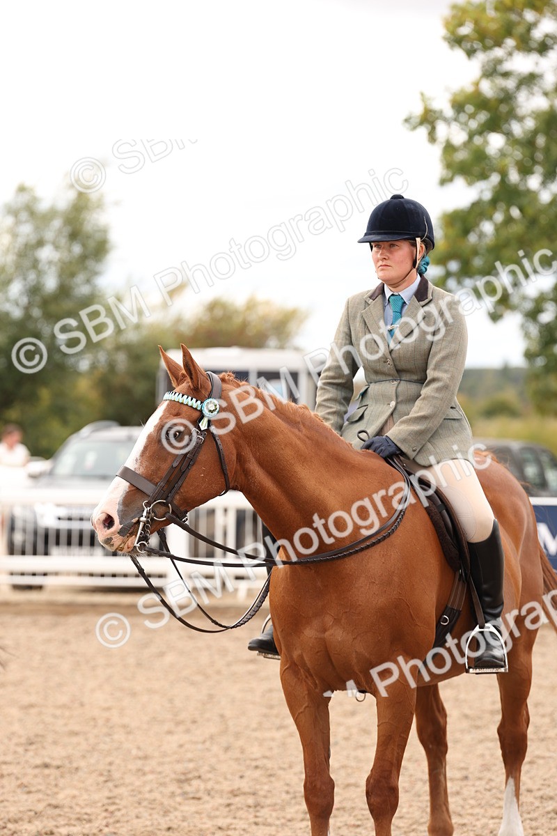 SBM_17359 - Class 214 - Ridden Hack Riding Horse