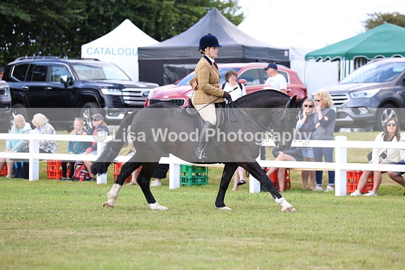 3E7A9692 - Class 5: Rising Star Lightweight/Heavyweight Cobs