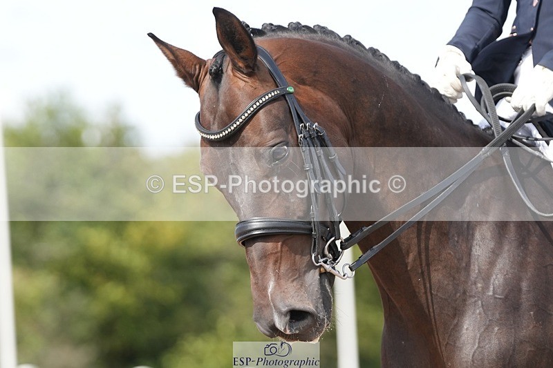 250906-134100-03366 - 113-Nicole.JahanshahiVirtual.Attraction