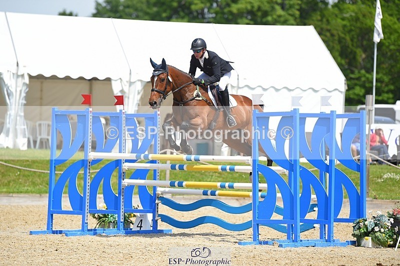 230528-121424-15597 - 312-J'ADORE_SALSA-Michael_Owen-SUNTrotUp+SJ