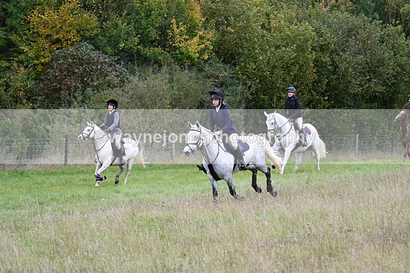 WJ7_3789 - Camera 1 Line 1