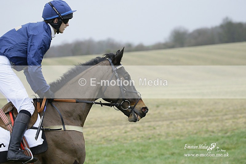 PtP 200222 175 - Countryside Alliance PtP Badbury Rings 20/02/22