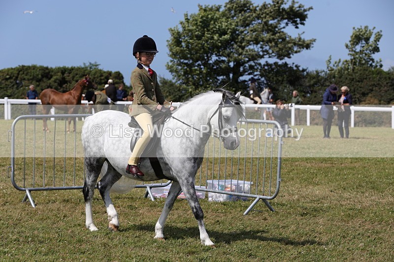 1X9A5326 - Class 37: NPS M&M First Ridden