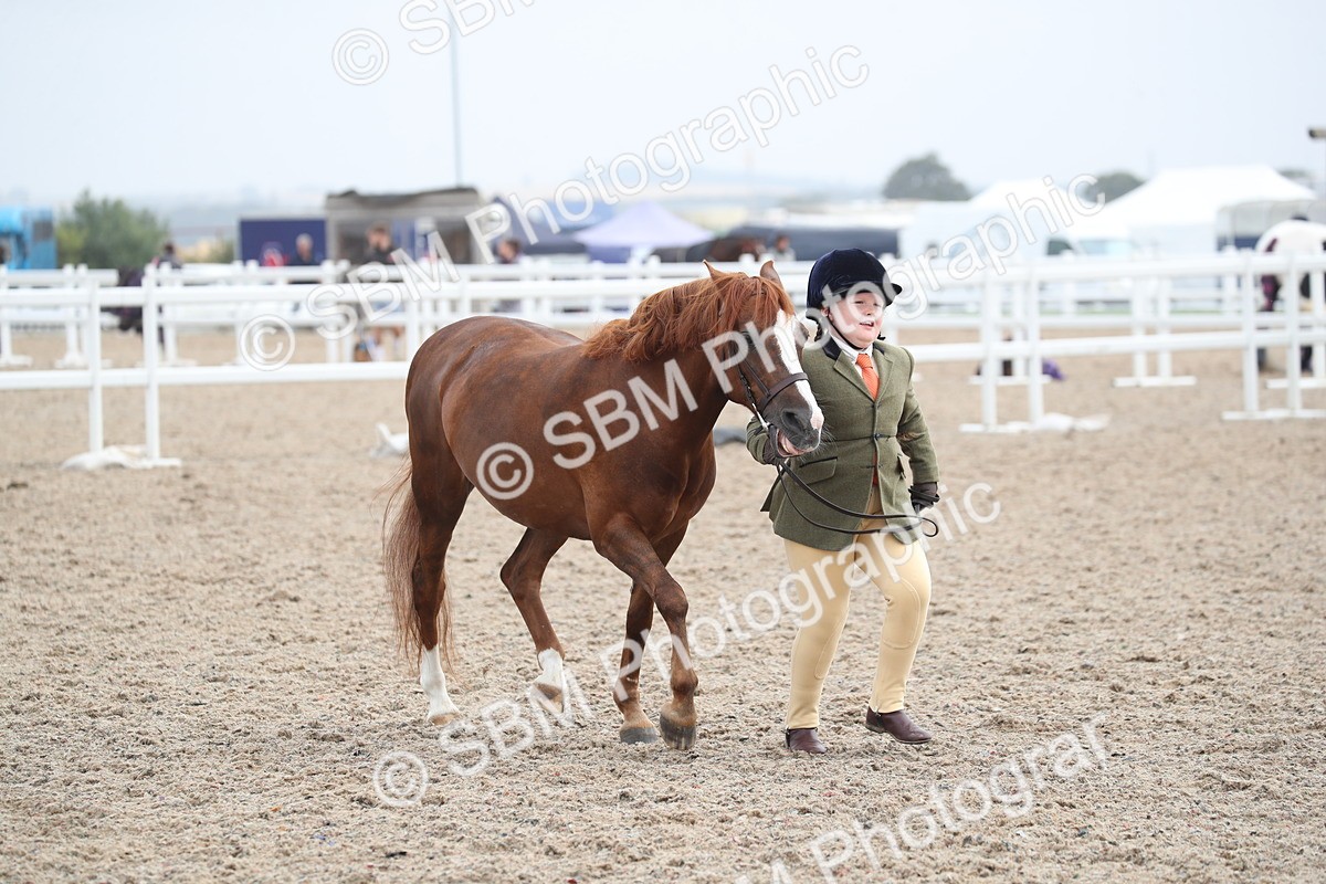 SBM_22544 - Class 604 - 2025 Area - IH Diamond