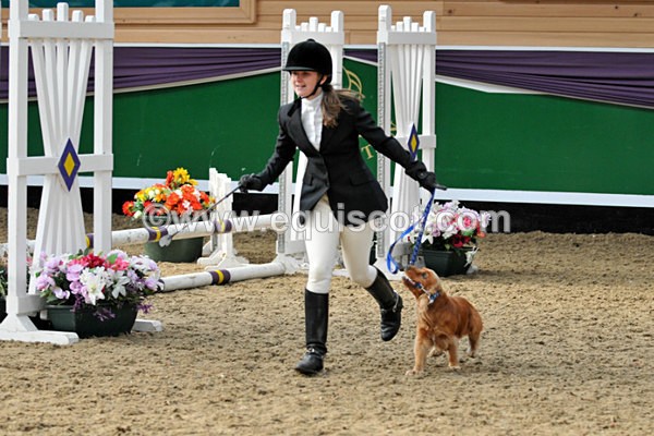 equiscot 3116 - NICOLA CAPPER