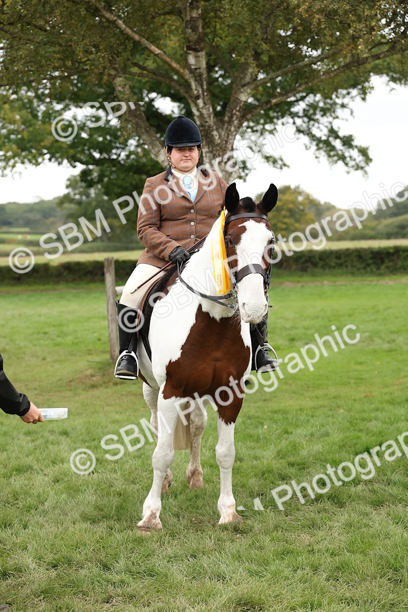 SBM_67317 - S67 - Piebald & Skewbald Horse Ridden