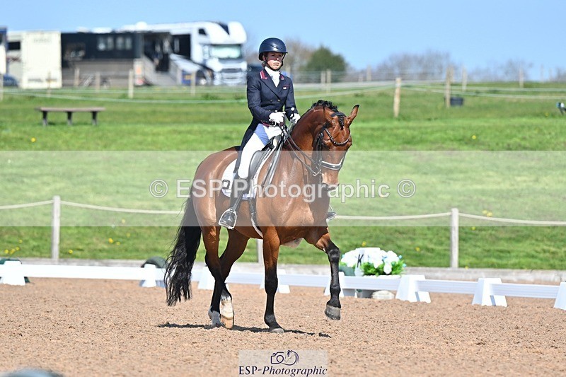 250405-130506-10835 - 028-Elizabeth.Allen-Heraldik