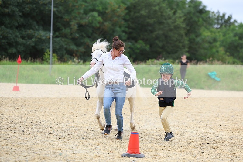 3E7A9352 - Walk trot run