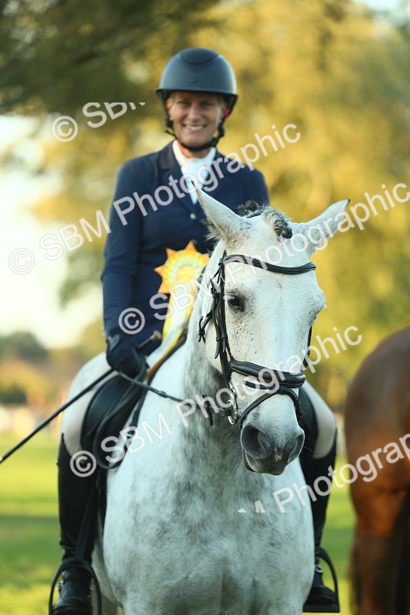SBM_56562 - S14 - Riding Club Horse