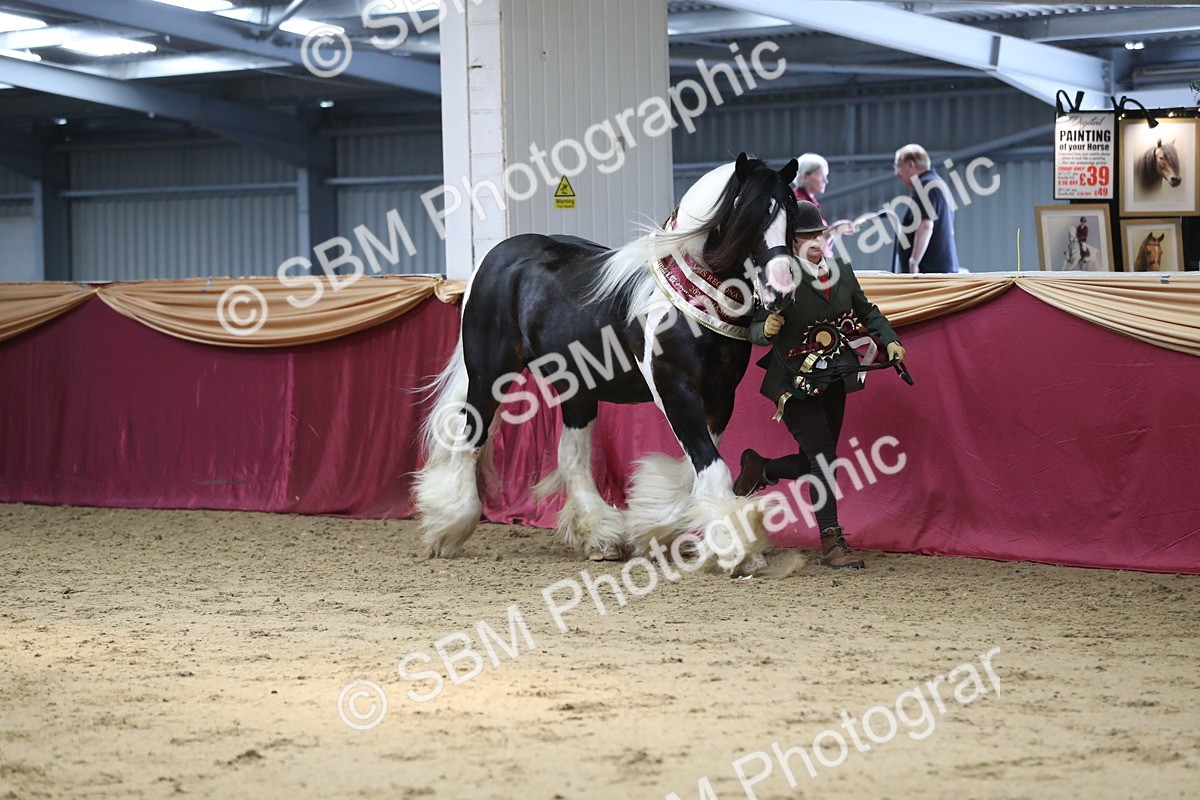 SBM_06606 - Regional IH Champ