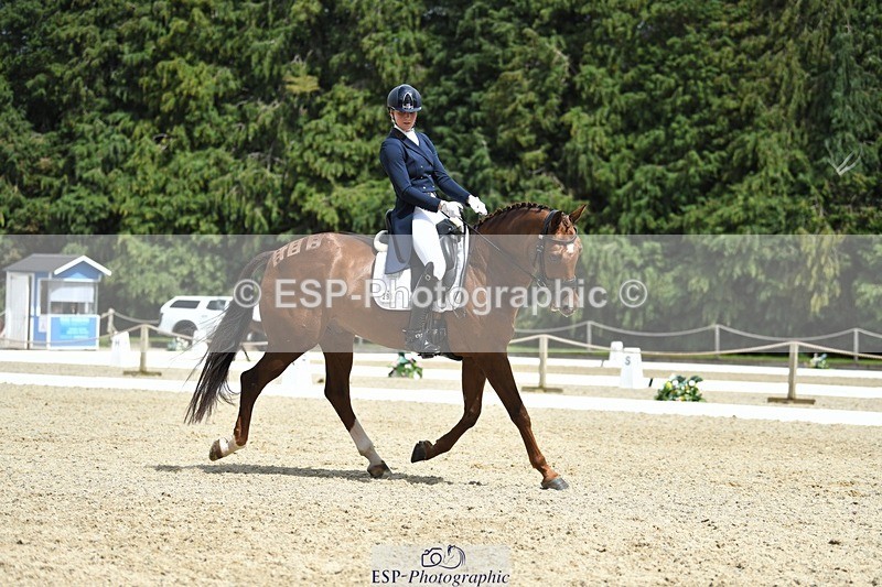 230812-140837-04618 - Cls 7 FEI PSG Bronze