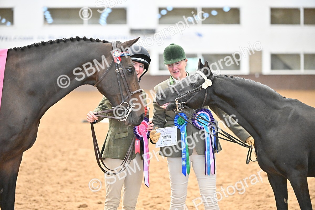 SBM_000751 - Class 14 - SSADL In Hand Championships