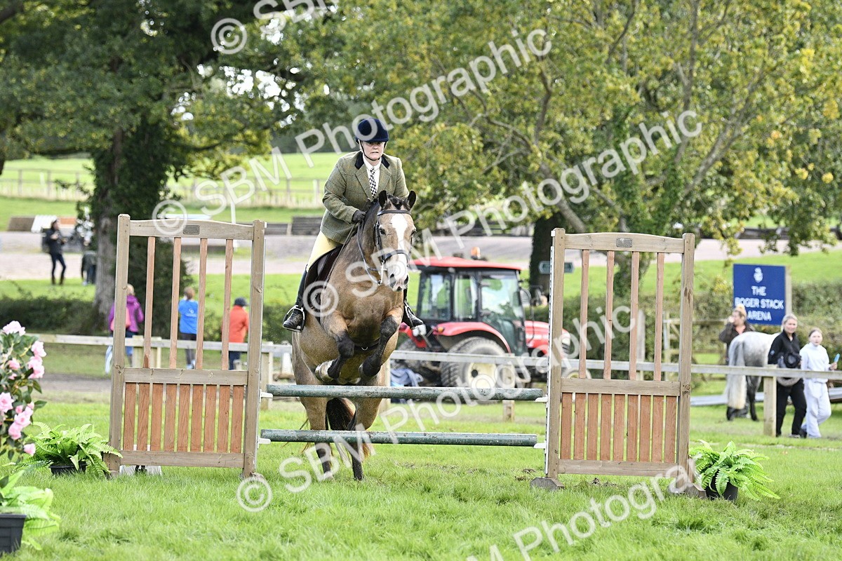 SBM_45752 - S33 - Working Hunter Pony