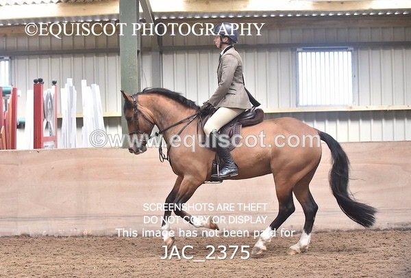 JAC_2375 - CLASS 3 Intermediate Working Hunter