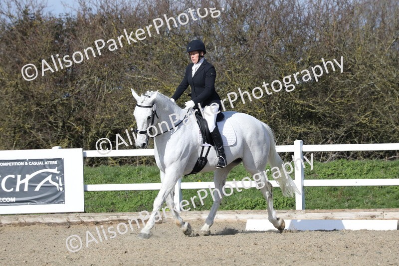 20260314-4893 - CT6 - Elementary 1