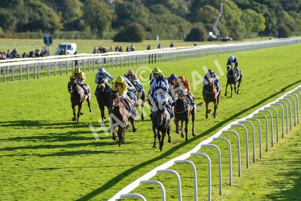 141023-Race 5-Certain Lad-1330 - Race 5 3.35pm Coral Racing Bet Bundles Handicap