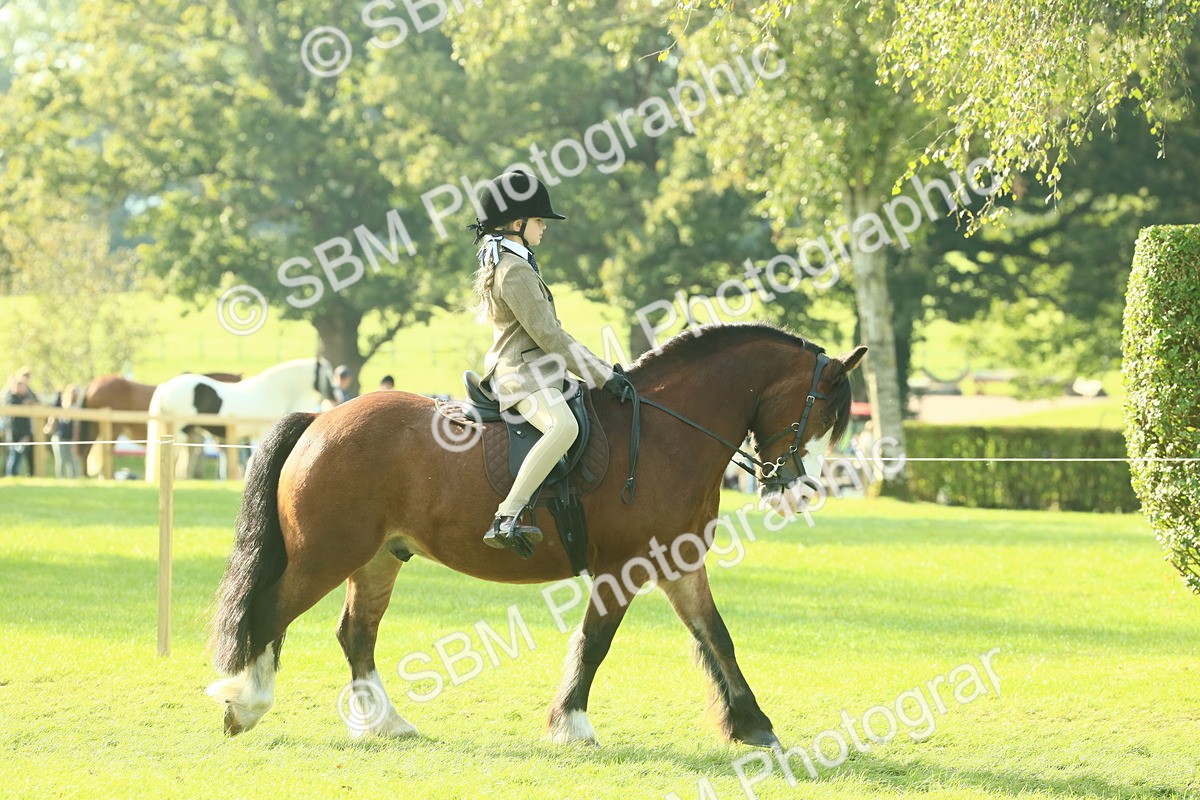 SBM_59293 - S38 - Starters Ridden Showing